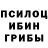 Псилоцибиновые грибы ЛСД Roy Vanhelsing