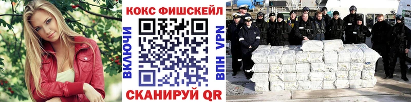 Купить  Бавлы  Кокаин VHQ 