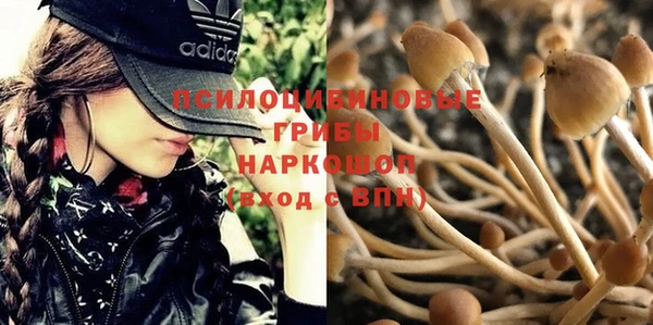 mdma Богородицк