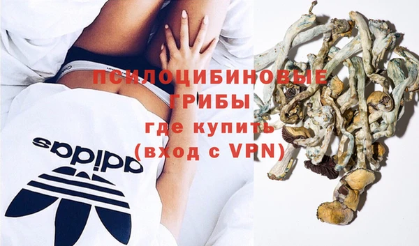 эйфоретик Богданович