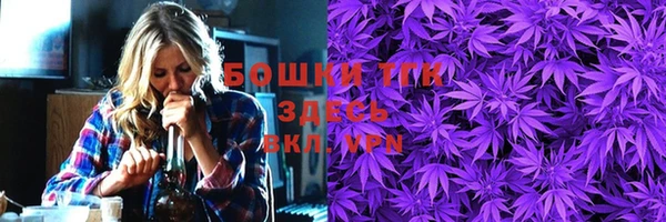 МДПВ Богородск