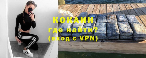 эйфоретик Богданович