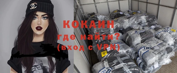 эйфоретик Богданович