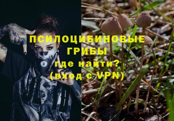 МДПВ Богородск