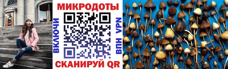 Псилоцибиновые грибы ЛСД  Купить  Бавлы 